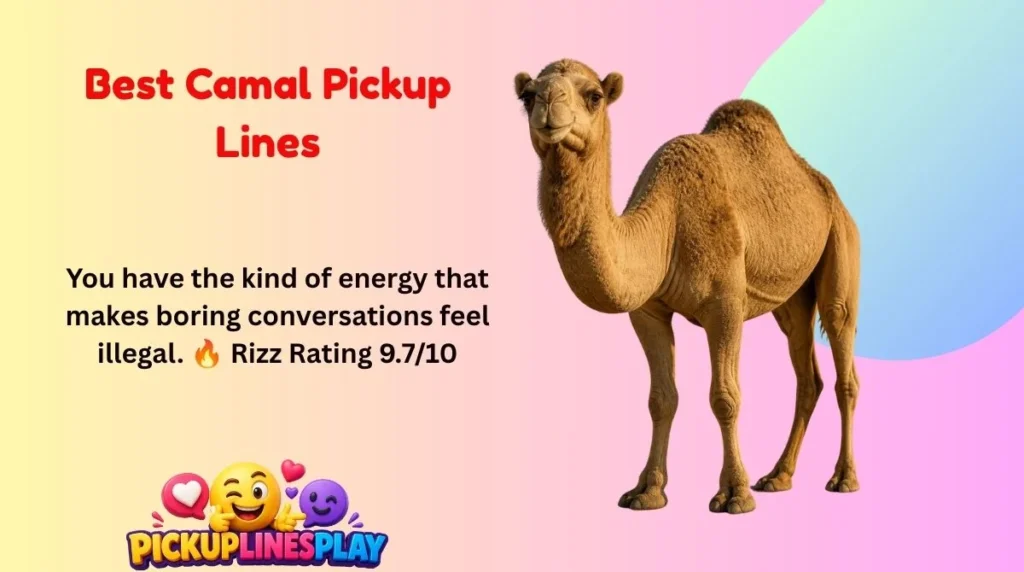 Best Camal Pickup Lines