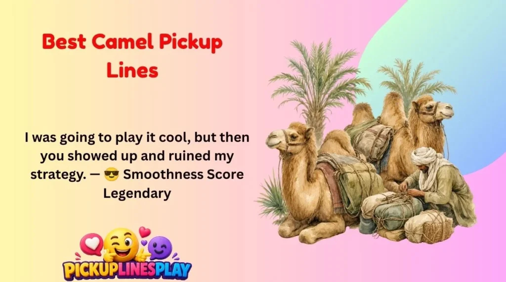 Best Camel Pickup Lines

