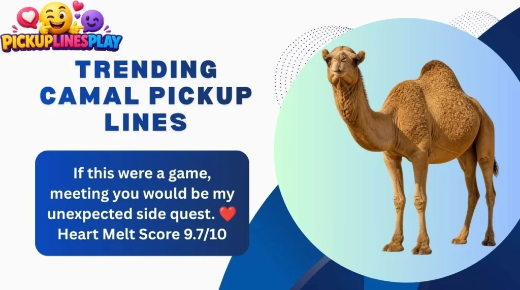 Trending Camal Pickup Lines