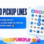 Bingo Pickup Lines